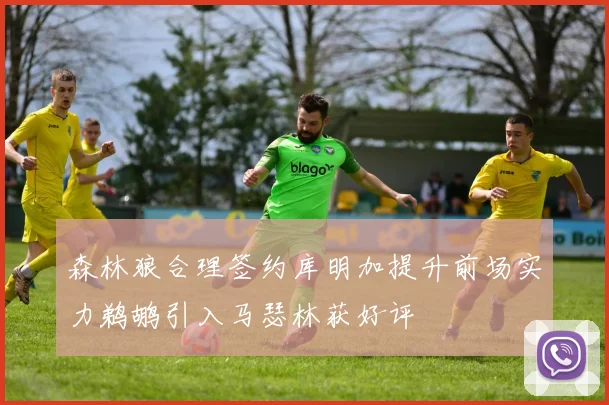 森林狼合理签约库明加提升前场实力鹈鹕引入马瑟林获好评